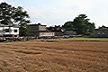 photo No. 31